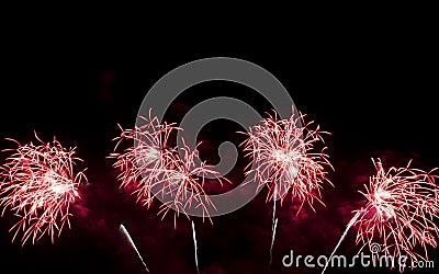 Real fireworks celebration at night background Stock Photo