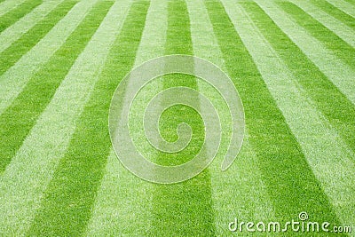 Real Grass Striped Lawn Stock Photo