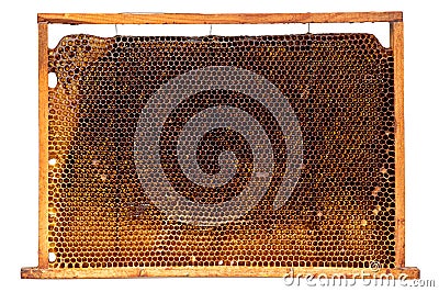 Real honeycomb removed from the hive isolated Stock Photo