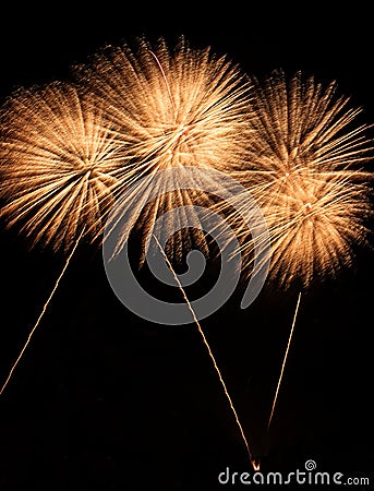 Real Isolated Fireworks, Blossoming Sunflowers Pattern Stock Photo
