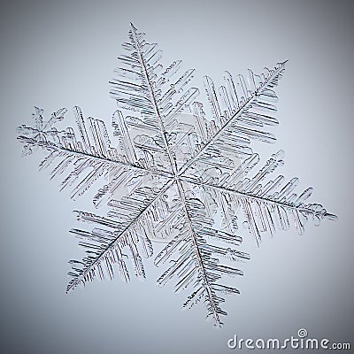 Real macro snowflake Stock Photo