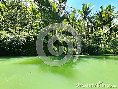 Real natural green water in Maron river, Indonesia Stock Photo