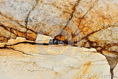 Real natural `Quartzite Patagonia` texture pattern. Stock Photo
