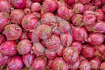 Real organic red onions Stock Photo