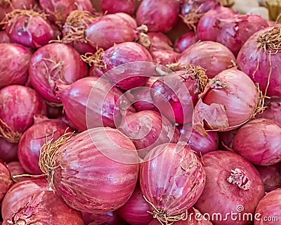 Real organic red onions Stock Photo