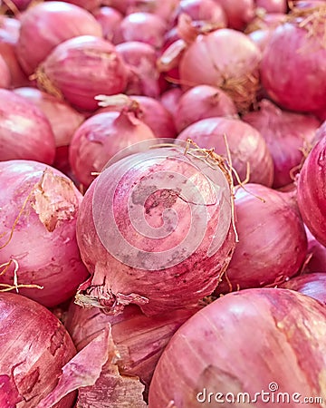 Real organic red onions Stock Photo