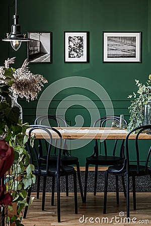 Real photo of black chairs standing at a wooden table in elegant dining room interior with framed photos on green wall Stock Photo