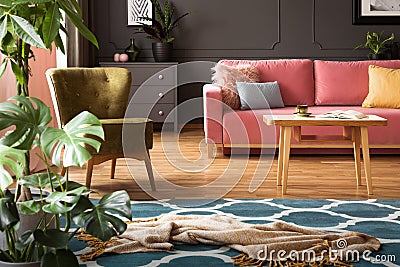 Real photo of blanket placed on moroccan trellis carpet in living room interior with green armchair, powder pink couch with Stock Photo