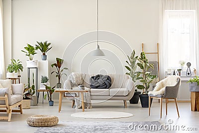 Real photo of a botanic living room interior full of plants with Stock Photo