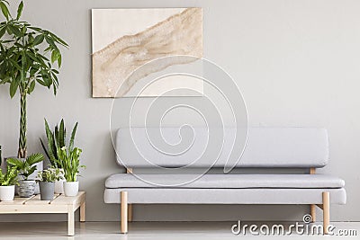 Real photo of a cozy gray couch standing next to a wooden platform with plants in a simple, scandi living room interior Stock Photo