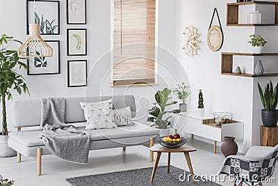 Real photo of a grey living room interior with a sofa, plants, fruit in a bowl and paintings Stock Photo