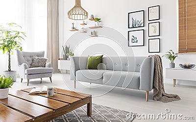 Real photo of grey sofa with green cushion and blanket standing in white living room interior with simple posters, fresh plants, a Stock Photo