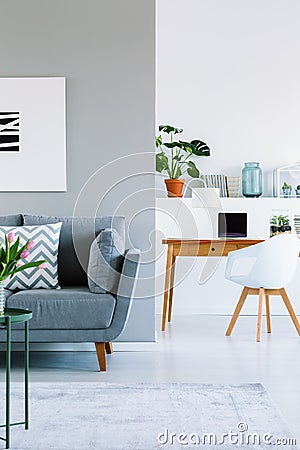 Real photo of modern flat interior with grey couch, wooden desk Stock Photo