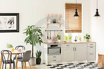 Real photo of a modern kitchen interior with cupboards, plants, shelves and pink accessories next to a dining table and chairs Stock Photo