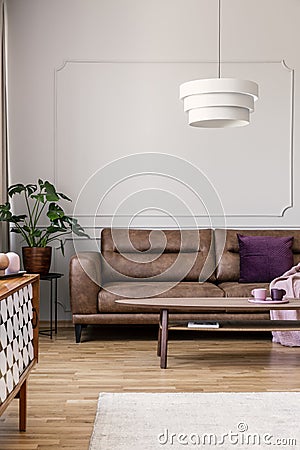 Real photo of modern lamp hanging above leather couch with purple pillow in bright living room interior with coffee table, molding Stock Photo