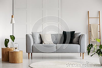 Photo of modern living room with gray sofa Stock Photo