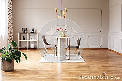 Spacious dining room interior with a golden lamp, wall molding and plant Stock Photo