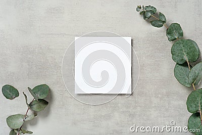 Real photo. square invitation card mockup with a eucalyptus branch Stock Photo