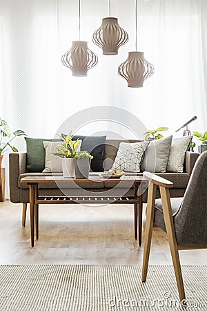 Real photo of a table with plants standing between a sofa with c Stock Photo