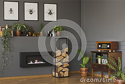 Real photo of a vintage living room interior with a shelf with p Stock Photo