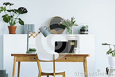 Real photo of wall shelf with flowers, fresh plant, decor and bo Stock Photo