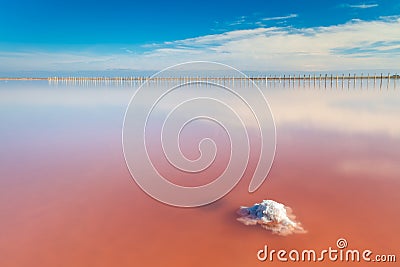 Real pink color salt lake and deep blue sky, minimalistic landscape Stock Photo