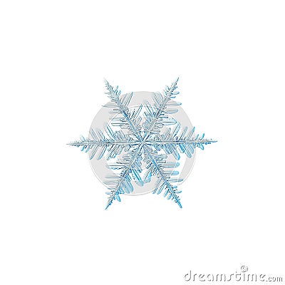 Real snowflake isolated on white background Stock Photo