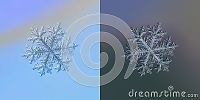Real snowflake macro photo Stock Photo