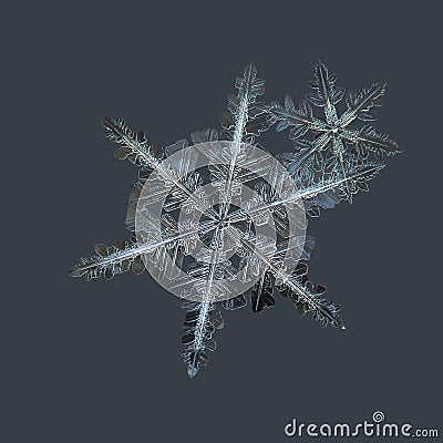 Real snowflakes isolated on uniform cyan background Stock Photo