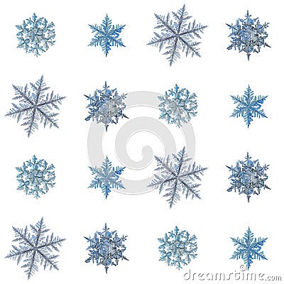 Real snowflakes isolated on white background Stock Photo