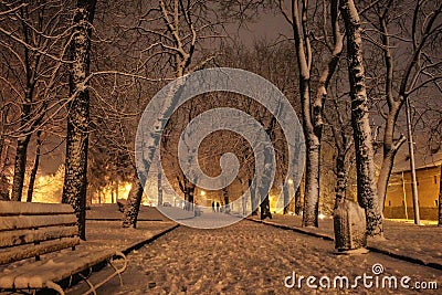 Real snowing winter. Warm lirht in the city. Editorial Stock Photo