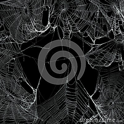 Real spider webs hanging together to make a frame. Halloween background Stock Photo