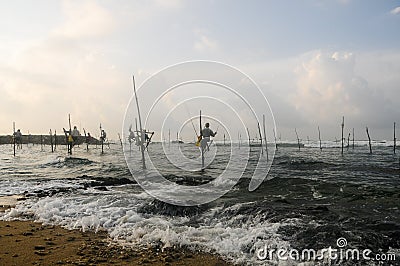 Real Stilt fisherman in Galle, Sri Lanka Editorial Stock Photo