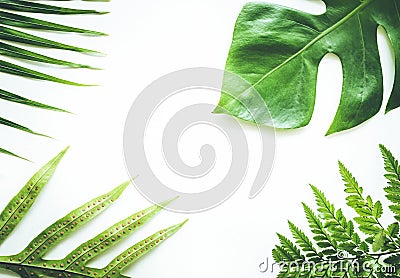 Real tropical leaves set pattern backgrounds on white.flat lay Stock Photo