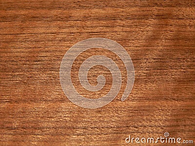 Real wood veneer American walnut. Material for interior and furniture Stock Photo