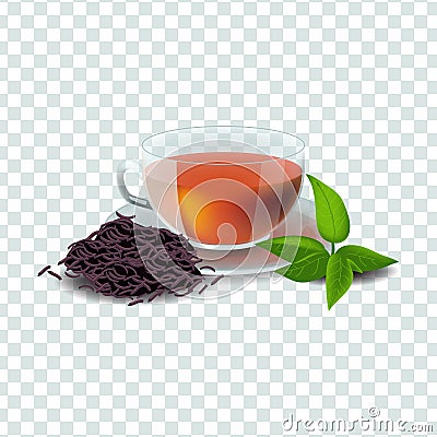 Vector illustration in realism style about black tea Vector Illustration