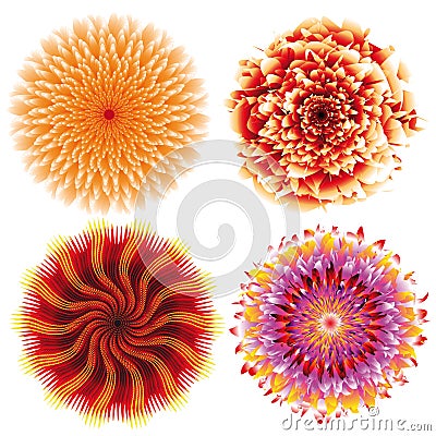 Realistic abstract flowers Vector Illustration