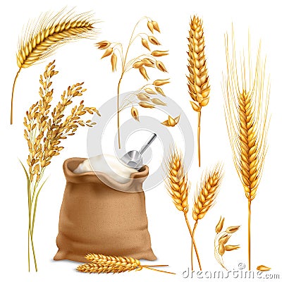 Realistic Agricultural Crops Set Vector Illustration