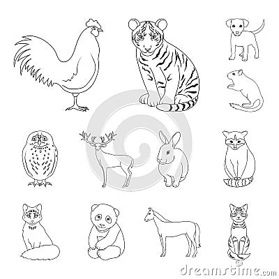 Realistic animals outline icons in set collection for design. Wild and domestic animals vector symbol stock web Vector Illustration