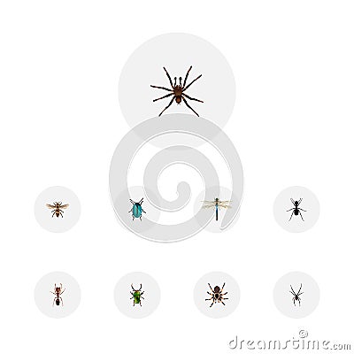Realistic Ant, Spinner, Wasp And Other Vector Elements. Set Of Insect Realistic Symbols Also Includes Emmet, Green Vector Illustration