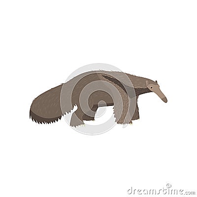 Realistic anteater transparent isolated on white background Vector Illustration