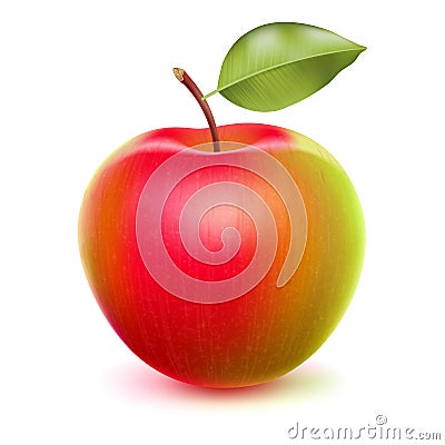 Realistic apple with green and red sides. Vector Illustration