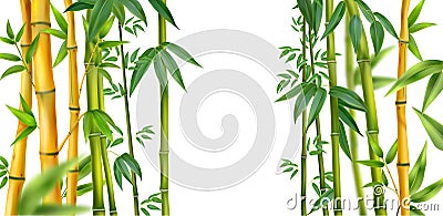 Realistic Bamboo Isolated Composition Vector Illustration