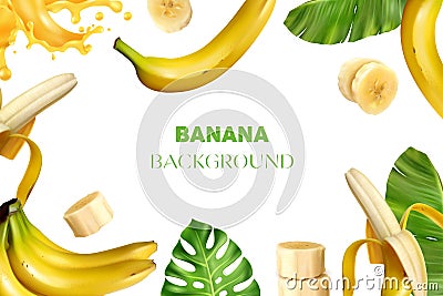 Realistic Banana Frame Composition Vector Illustration