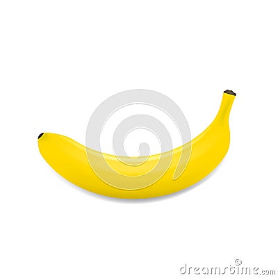 Realistic Banana. Ripe banana Vector Illustration