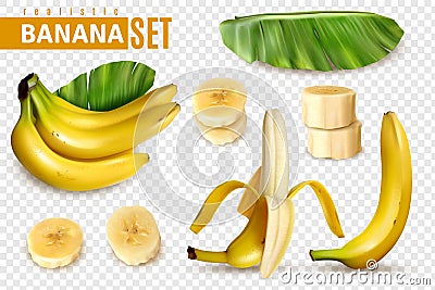 Realistic Banana Transparent Set Vector Illustration