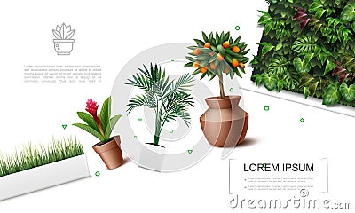Realistic Beautiful Plants Template Vector Illustration