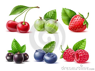 Realistic berries. Different seasonal berries and fruits with leaves, natural dessert, jam or juice. Fresh raspberry Vector Illustration