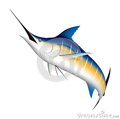 Realistic blue Marlin fish Vector Illustration