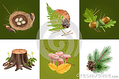 Realistic Botanical Design Concept Vector Illustration